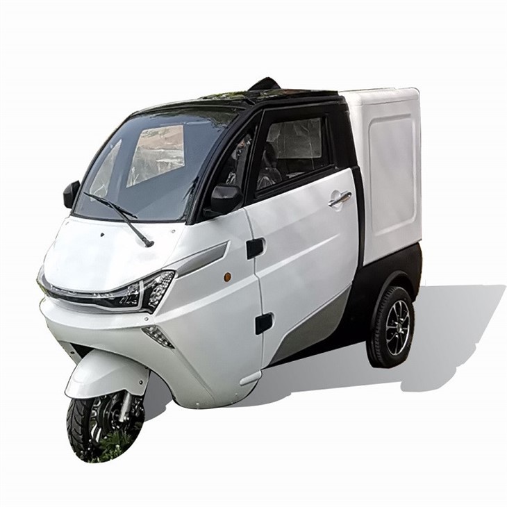 Electric Mini Delivery Van Coc Cargo Box