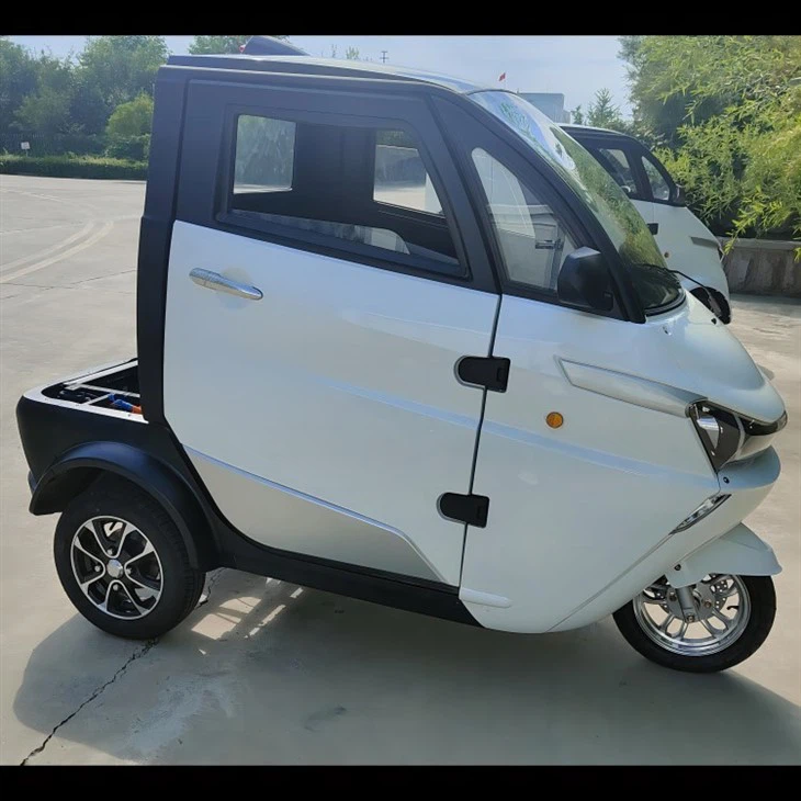 Low Price Three Wheeler Auto Electrico New EV With Cargo Box For Logistics