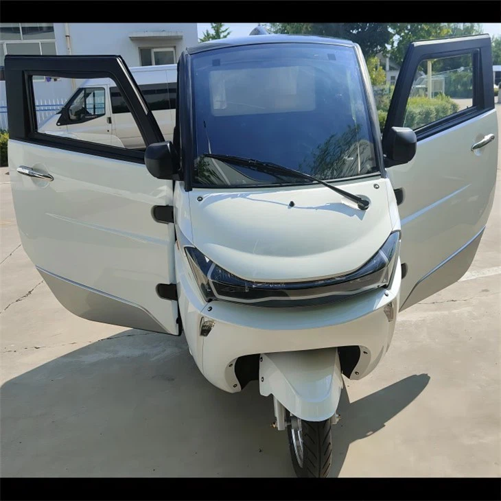 Low Price Three Wheeler Auto Electrico New EV With Cargo Box For Logistics