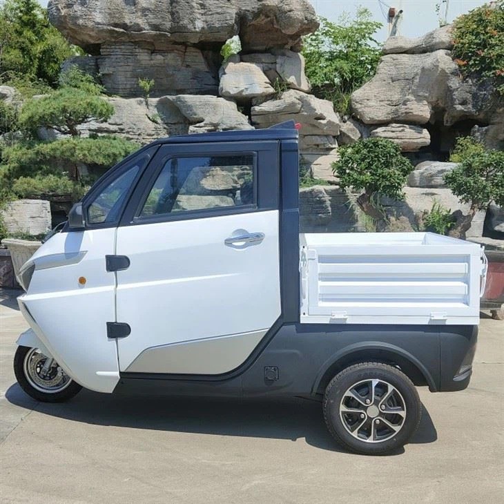 3 Wheel Tricycle Motorcycle Electric Tricycles Passenger For Adult With Folding Cargo Box 3 Wheel Tricycle Motorcycle Electric Tricycles Passenger For Adult With Folding Cargo Box