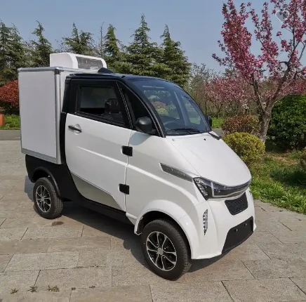 Cost-Effective Cargo Vans European EEC European Certification Mini Trucks
